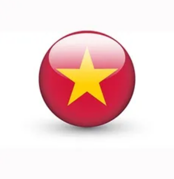 logo-vietnamita